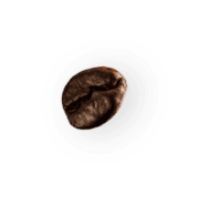 demo-attachment-28-coffee-beans-P4MXYZD2-1
